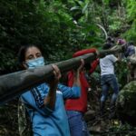 Nuevas expectativas de avance hacia fin definitivo de conflicto en Colombia, escucha Consejo de Seguridad