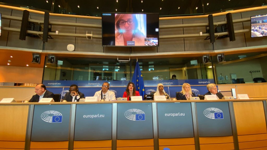 Activistas de derechos humanos piden a los líderes de la UE que detengan los ataques aéreos en apoyo de la paz en Sudán