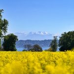 Ginebra: Un destino imperdible en Europa