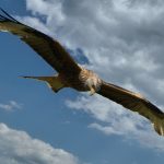 Milán: un destino obligado para los amantes de la moda y las compras