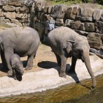 Motivos para visitar Mechelen: Una escapada perfecta fuera de las rutas turísticas tradicionales