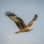 Milán: un paraíso para los amantes del arte y la arquitectura