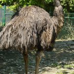Mechelen: Un destino ideal para los amantes del arte, la historia y la cerveza