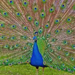 Stuttgart: Naturaleza, vinos y festivales que no te puedes perder