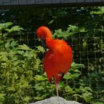 Descubre Mechelen: Un tesoro belga con encanto medieval y modernidad