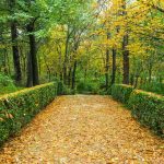 Madrid en 10 razones: Descubre por qué debes incluir esta ciudad en tu lista de viajes