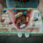 La sociedad intoxicada