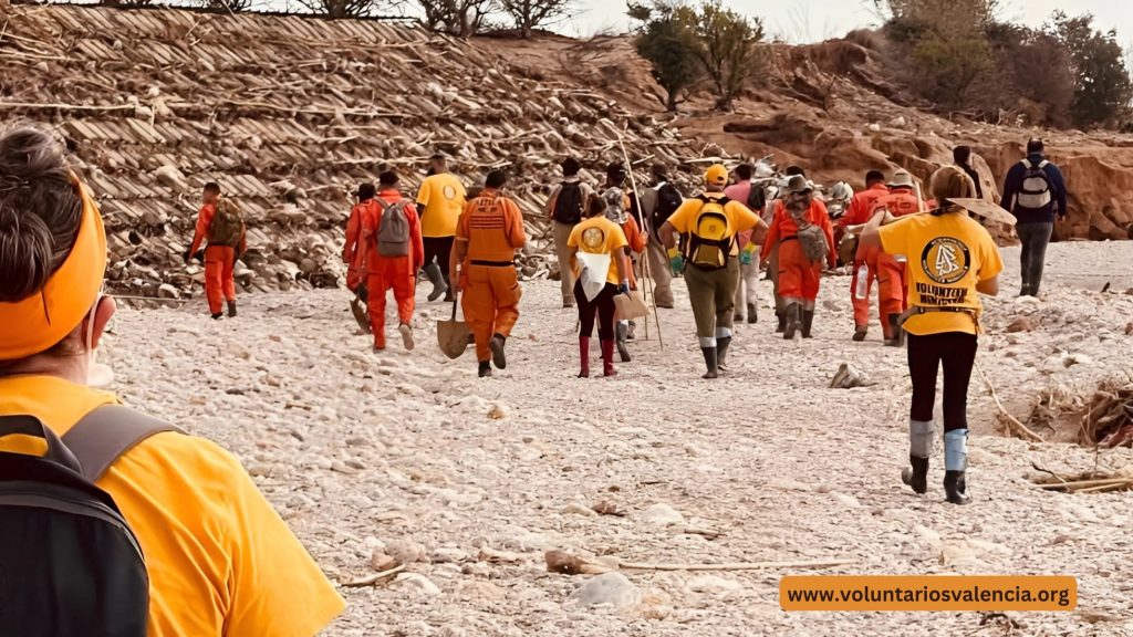 Fuerzas Unidas del Voluntariado tras la DANA en Valencia